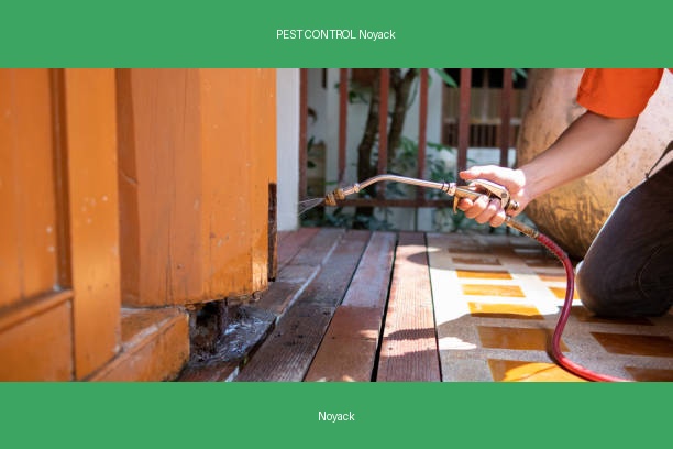 PEST CONTROL Noyack